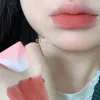 Brilho labial Velvet Matte para meninas Blush à prova d'água de longa duração cartão plano Gloss labial antiaderente copo maquiagem caneta tint cosmética