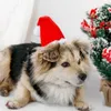 Sombreros de fiesta de Navidad para mascotas Sombreros de mascotas lindos de Navidad Gatos y perros de peluche rojo Sombrero de Navidad DE830