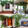 Decorative Flowers Artificial Rattan Vine Green Plant Banyan Tree Branch Wall False Silk Leaf Winding Home Office Wedding Decoration