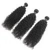 Brazylijskie ludzkie włosy Jerry Curly 2 wiązki 8-26 cala Remy Hair Extensons Podwójne wątki