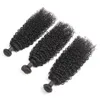 Brazilian Human Hair Jerry Curly 2 Bundles 8-26 inch Remy Hair Extensions Double Wefts