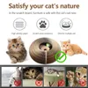 Jouets pour chats, planche à gratter, organe magique, jouet avec cloche, griffe de meulage réversible, cadre d'escalade, litière ronde ondulée pour chats