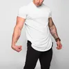 Camisetas masculinas Moda Roupas de academia Cor sólida Manga curta Masculina Ajuste justo Corrida Treinamento Esportes Bainha irregular Camiseta verão