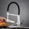 Robinets de cuisine Filtre à eau Taps Robinet mélangeur Purificateur d'évier Purificateur 866101