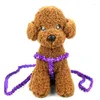 Dog Collars Adjustable Puppy Cat Walking Nylon Harness For Dogs Cats Pet Lead Rope Small Lace Leash Drop