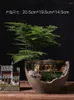 Vases Retro Creative Chinese Style House Flower Pot Landscaping Decoration Desktop Indoor Asparagus Fern Bonsai Balcony Garden