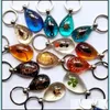 Key Rings 15 Pcs Real Scorpion Spider Crab Ant Four Leaf Clover Drop Shaped Amber Resin Keychain Taxidermy Oddity Insect Encased Del Dhx0E