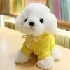 Groothandel Keepsakes Simulatie Dog Plush Toy Doll Rag Doll Curly Teddy Husky Golden Retriever Children's Dolls Birthday Gift 2520 E3