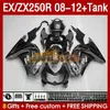 Tank-Einspritzverkleidungen für KAWASAKI NINJA ZX250 EX250 R 2008–2012 163Nr