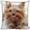 Kuddefodral Custom Custom Square Pillowcase Yorkshire Terrier Soft Cover Zippered SQ00610-H05