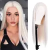 Farbige synthetische Perücken gerade Spitze vorne Highlight Cosplay Haar Perücke Mode natürliche lange Haare für Frauen täglich