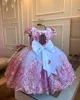 Pink Appliced ​​Flower Girl Dresses For Photoshoot Pearls Floral Litter Kids Pageant Gown Birthday Party First Communion Dress