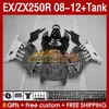 & Tank Injection Fairings For KAWASAKI NINJA ZX250 EX250 R 2008-2012 163No.138 EX ZX 250R EX250R ZX250R 2008 2009 2010 2011 2012 ZX-250R 08 09 10 11 12 Fairing glossy grey