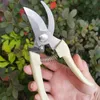 Snoeien tang die fruitbloem schaar shears tuing tak enthousiaste tuinscharen handgereedschap plukken