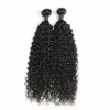 Malese Remy Hair Water Wave 2 Bundles Trame di capelli umani 8-26 pollici Grado 9A