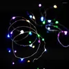 Strings Wodoodporny 2M LED LIDE Wróżki Copper Drut świąteczny na świeżym powietrzu Garland Garland Dekoracje przyjęcia weselne