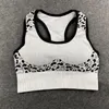 Yoga outfit leopard s￶ml￶s sport Bras kvinnor gym fitness cross crop top brassiere v￤st tr￤ning som k￶r vadderad tank