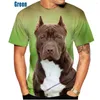 Camisetas para hombres 2022 Hombres y mujeres Verano 3D Pitbull Perro Pintura Hombre Camiseta casual XS-5XL