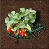 Andra trädgårdsmaterial Trädgårdsmaterial Stberry Stand Frame Holder Balkong Planting Rack Fruit Support Plant Flower Climbing Vine Pill DHI4P