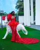 2022 Arabo Aso Ebi Red Mermaid Prom Dresses Pizzo elegante sera formale festa secondo ricevimento compleanno abiti di fidanzamento vestito ZJ778