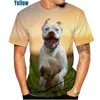 T-shirts pour hommes 2022 Hommes et femmes Été 3D Pitbull Dog Peinture Homme T-shirt décontracté XS-5XL