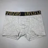 Men's Underwear Swimwear Stylish Cotton Men's Breathable Underpants