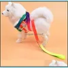 Collari per cani Guinzagli Arcobaleno Colore Corda di trazione Collari per cani Guinzaglio Forniture per animali domestici Imbracature Collana per cani Trazione Corde in nylon Passeggiata Dhrku