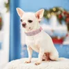 Hundehalsbänder Bling Kristallhalsband Leder Hunde Katze für kleine Welpen Halskette Chihuahua Yorkshire Mops Beagle