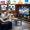 Nuevas piezas de TV de línea IP España Europa Soporte Android Box Smart TV M3U Enigma Linux PC Smartphone iOS
