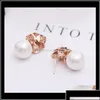 Stud Lovely Diamond Zircon Camillia Flower Pearl Earrings For Woman Girls Super Glittering Ins Fashion Luxury Designer 925 Sier Post Dhgjv