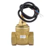 USP-FS43TA Normaal open Circuit Paddle Flow Switch 70W Max Load DC250V AC220V Max Betrouwbare BSP G 3 4 Vrouwelijke gemaakt van Brass233k