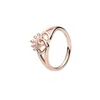 Rose Gold Wheel of Destiny Wedding Pierścienie Prezent Fit Pandora Style Wishing Princess Crown Jewelry