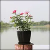 Planters potten eenvoudige mini tuinpotten bloemblaadje plastic pp plantenbakken met pallet voor huizendecoratie bloemenpot snoepkleur 0 46xy dhwin