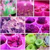 Grow Lights LED COB CHIP Full Spectrum Plant Light Diy Smart IC No Need Driver AC220V Plantor Blomma tillv￤xt