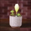 Planters Pots Ice Crack Flower Pots Succent Garden Plants Pot Mini Thumb Desk Office Flowerpots Ceramic Drop Delivery 2022 Home Pa Dhcs1