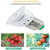 Grow Lights 220V LED Plant Cup 48 Pärlor 60 80 E27 inomhusfyllningsljus för växter Veg Flower