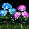 Pack Hydrangea Flower Solar Led Light Outdoor Garden Lawn Lamps For And Vegetable Patch Patio Country House Decoration