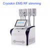 Nieuwe EMS RF Cryolipolysis Fat Freeze Slimming Machine Cryo Lipo Beauty Equipment