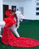 2022 Arabo Aso Ebi Red Mermaid Prom Dresses Pizzo elegante sera formale festa secondo ricevimento compleanno abiti di fidanzamento vestito ZJ778