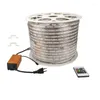 Tiras 60 LED / m LED tira de 100m / roll fita de fita de corda flexível 220 volts rgb decoração de iluminação mágica com 20 teclas Controlador remoto
