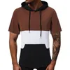 Men's Hoodies Mens Spring Summer Leisure Travel Colorblock Loose Hooded Drawstring T Shirt Short Sleeve Top