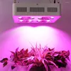 Grow Lights gynnsamma 800W LED -lampsatser Fabriksdirektförsörjning med hög kvalitet för Greehouse Hydroponics Plant