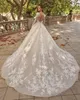 Винтажное кружево a Line Mermaid Свадебные платья v Neck Full Transparent Dlieve Bridal Plant Plus Size Margitable Train