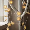 Stringhe 5M 20 LED Luci a stringa con stella in rattan Plug In Ghirlanda di Natale Decorazione per albero di luce Festa di nozze