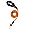 Dog Collars Pet Leash Nylon Training With Luminous Effect High Reflective Foam Comfortable Handle P Chain Double Color