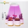 Grow Lights GREENSINDOOR Anbau-Innen-Rot-Blau-Timer-Licht USB-Phytolampe für Pflanzenblumen-Sukkulenten-Wachstumslampe mit Ständer