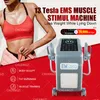 emszero dls-emslim ems pro electro magnetic muscle stimulator 14 tesla rf emszero neo body sculpt machine pelvic floor train