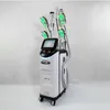 Hot 4 Griffe Criolipolisis Fat Freezing Cryolipolysis Beauty Machine zum Abnehmen und Fettreduzieren des Körpers