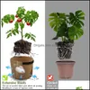 Plantadores POTS SERIES PREMIUM PLANT SACOS CROVO