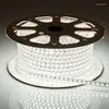 Strips Bluetooth LED Strip AC220V RGB Tape AC110VSMD Flexibele Lint Witte Kleur Voor Hone Decoratie 3 Stuks Controller